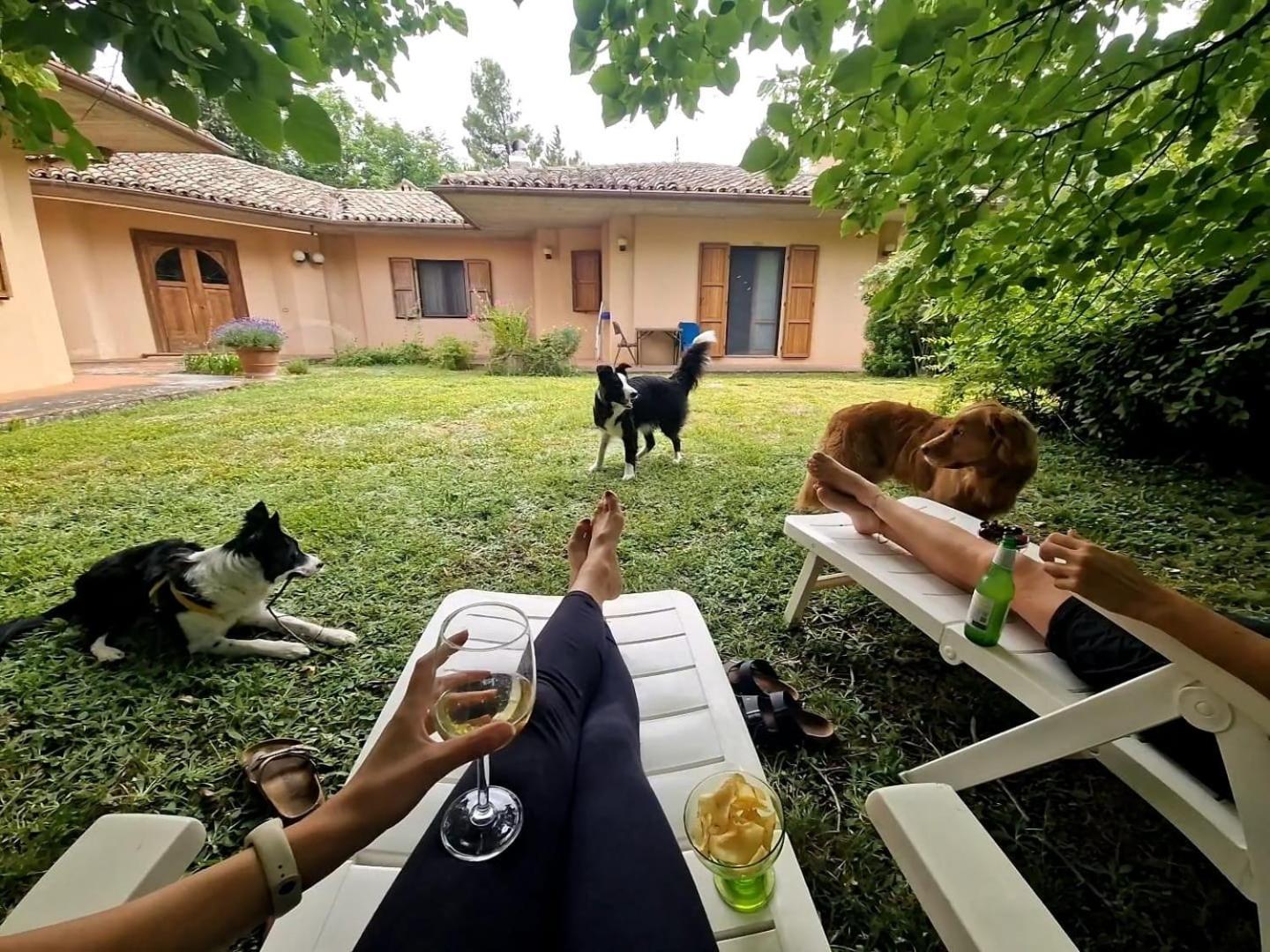 Le Ginestre Apartment San Severino Marche