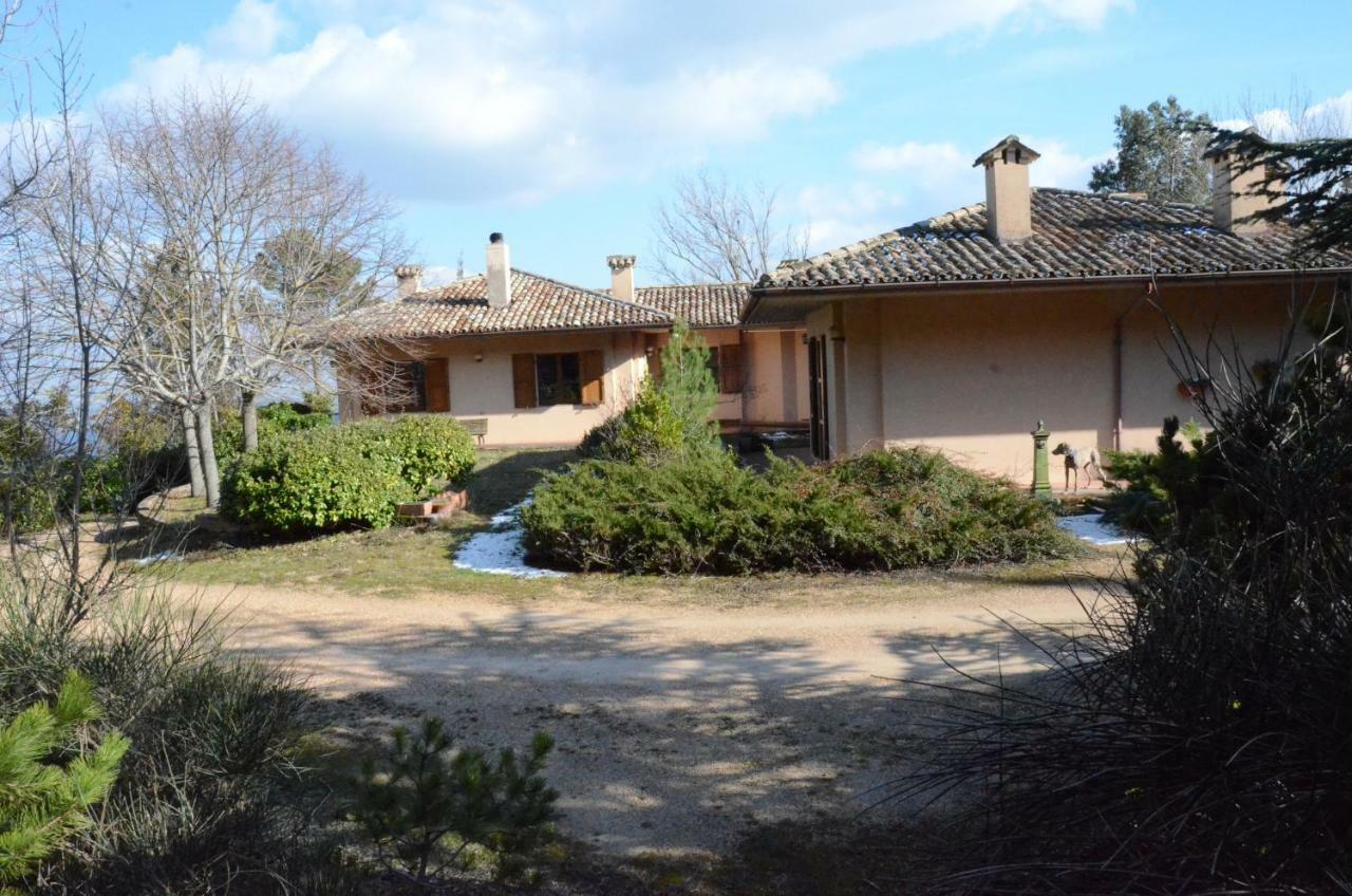 Le Ginestre Apartment *