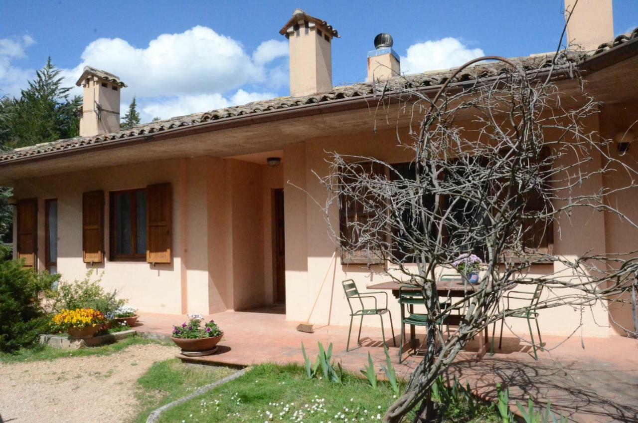 Apartment Le Ginestre *