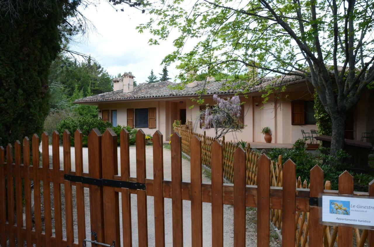 Le Ginestre Apartment